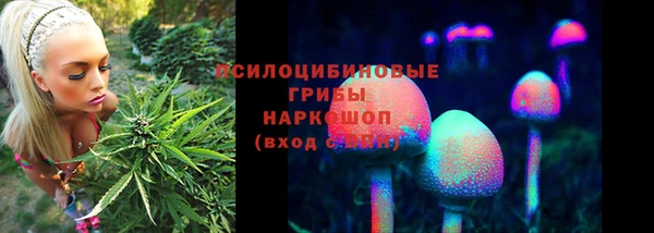 прущие крисы Волосово