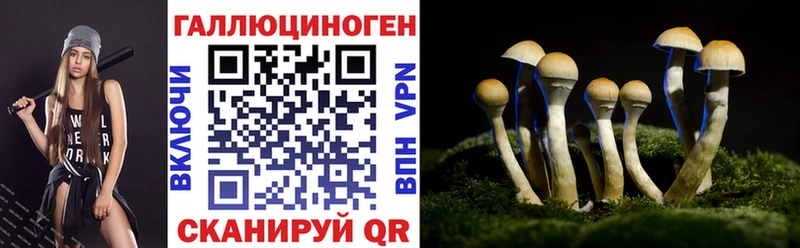 Псилоцибиновые грибы Magic Shrooms  Купить  Карабаново 
